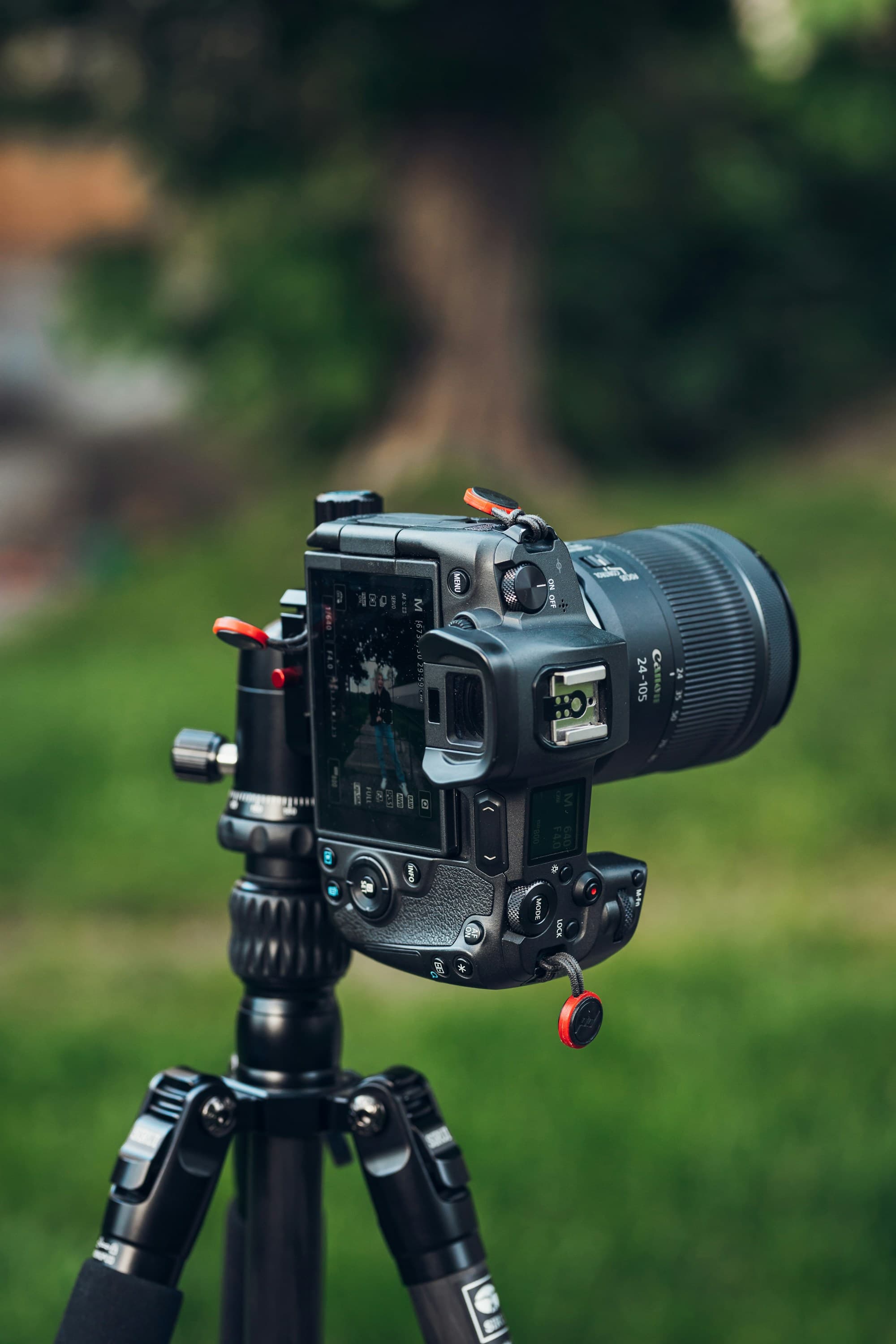 A professional camera mounted on a tripod, framing a shot outdoors
