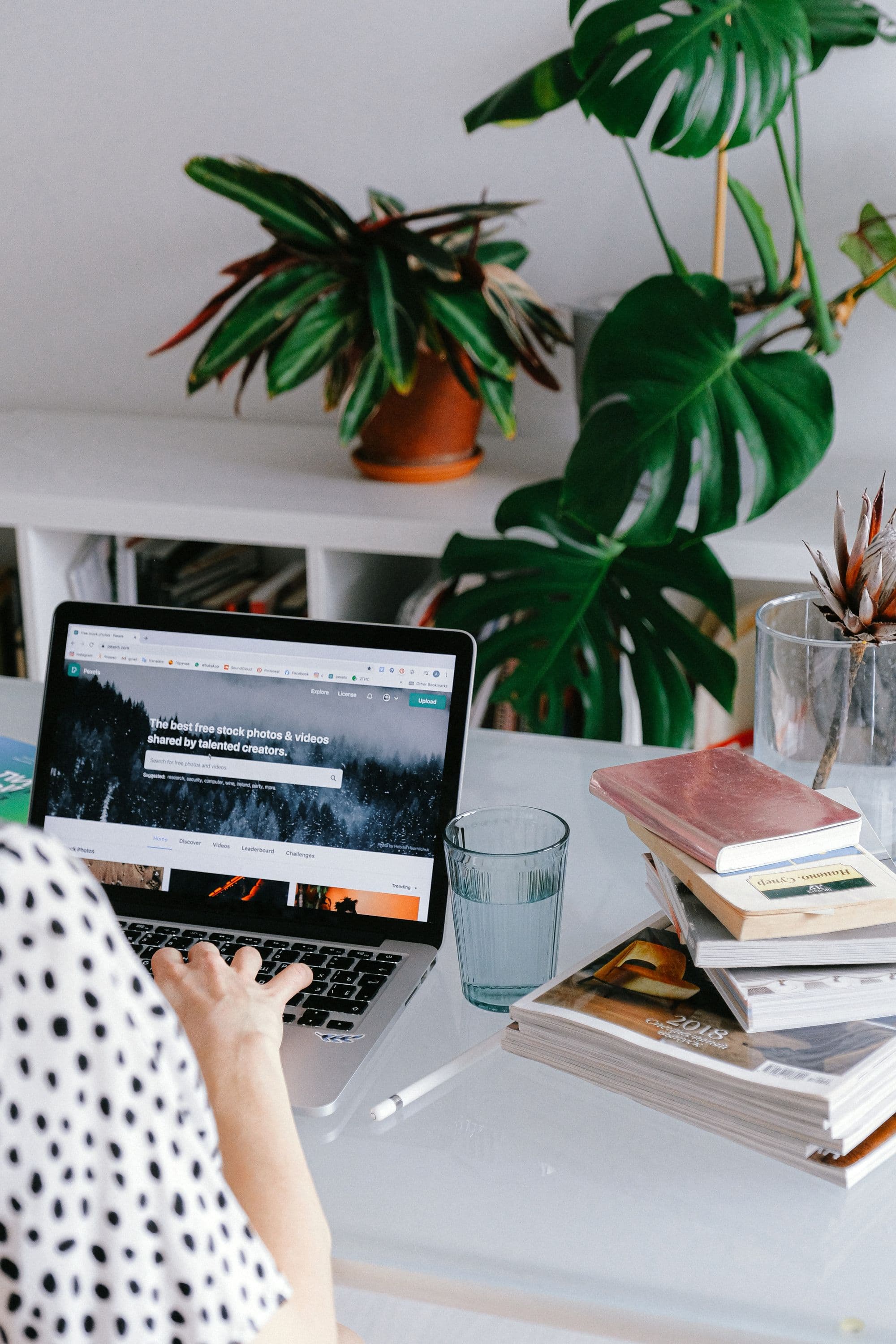 A woman browsing a website on a laptop at a desk with plants and books